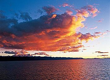 《吸血鬼幸存者》作者辞职专注开发 谈游戏进展