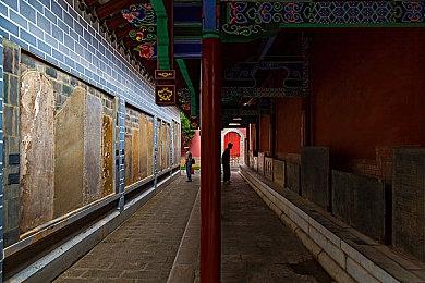 鲁宾逊模拟器《求生岛》现已上线Steam，大航海时代孤岛求生